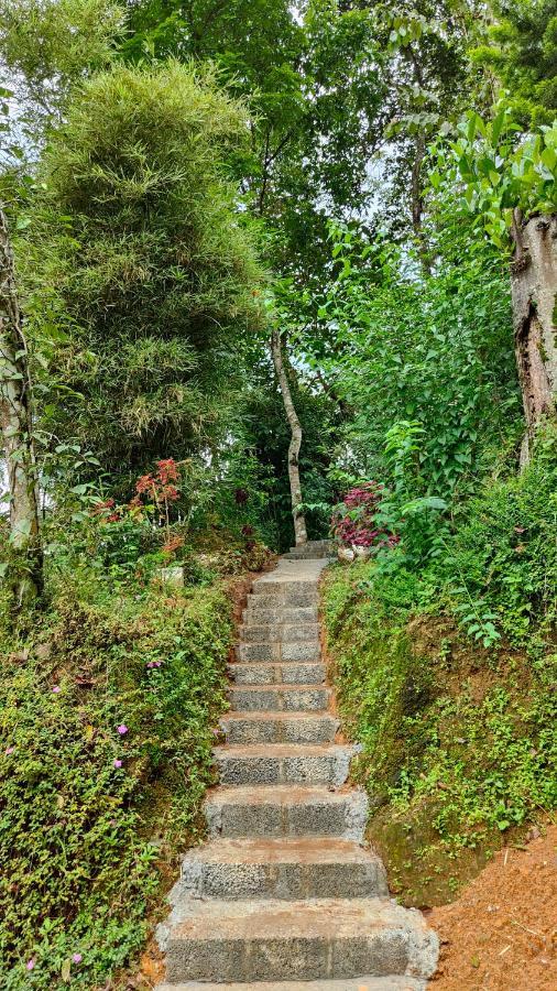 Pepper County Farm Stay Munnar Exterior photo