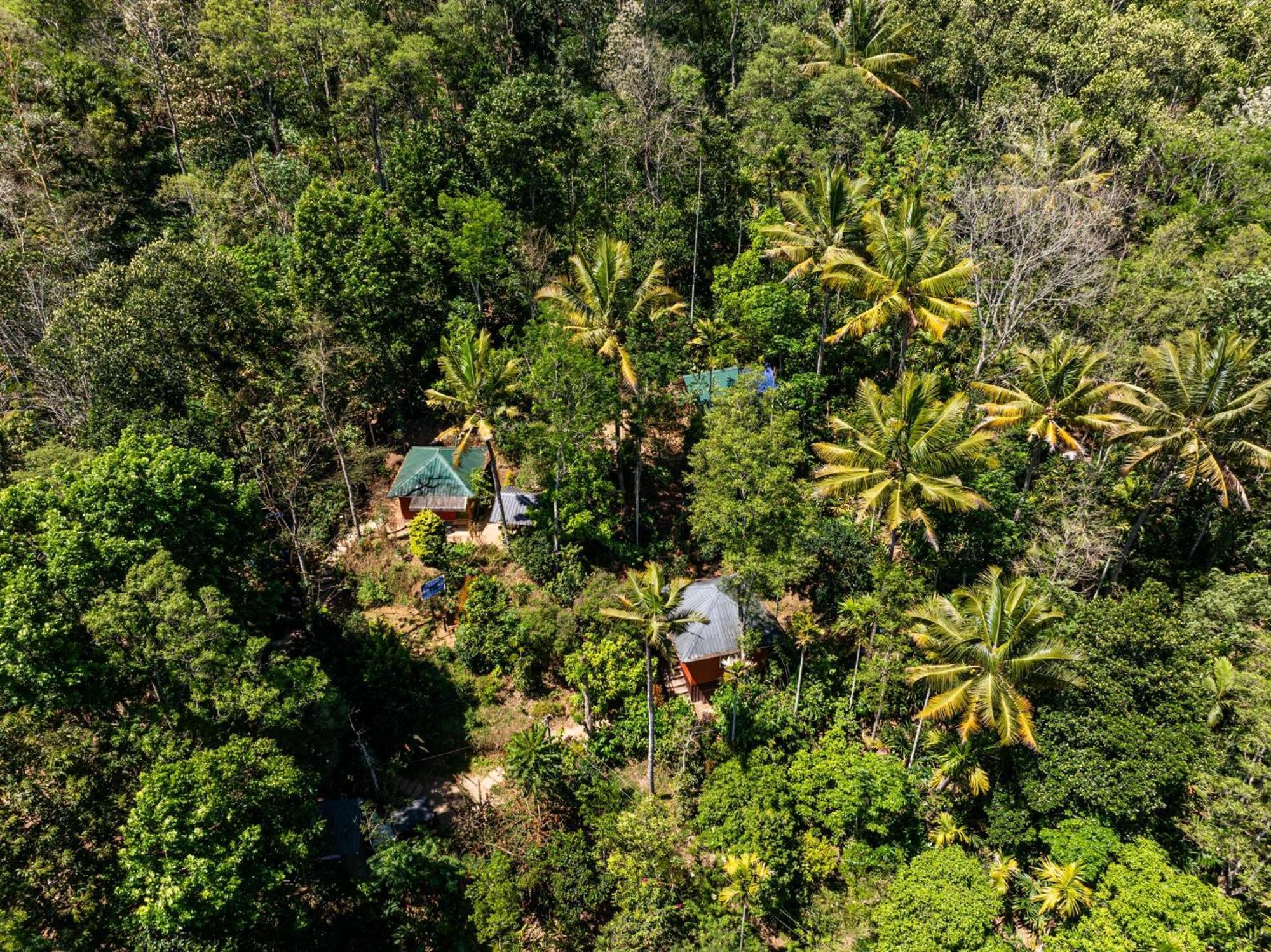 Pepper County Farm Stay Munnar Exterior photo