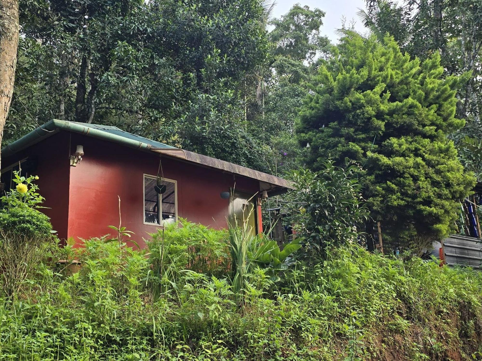 Pepper County Farm Stay Munnar Room photo