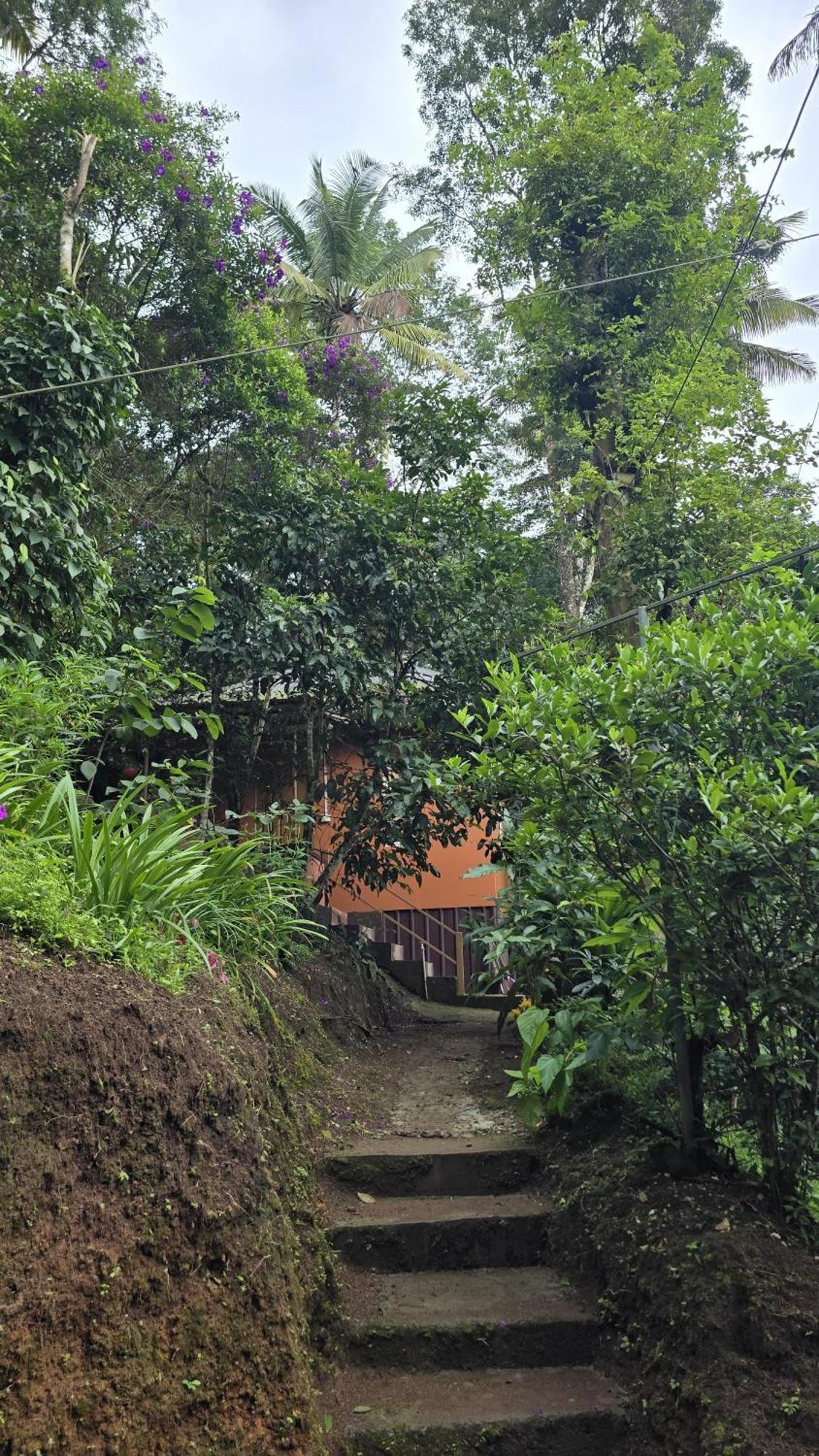 Pepper County Farm Stay Munnar Exterior photo